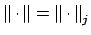 $ \left\Vert \cdot \right\Vert= \left\Vert \cdot \right\Vert _j$