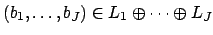 $\displaystyle (b_1,\ldots, b_J)\in L_1\oplus \cdots \oplus L_J$