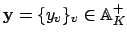 $ \mathbf{y}=\{y_v\}_v \in \AA _K^+$