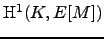 $\H^1(K,E[M])$