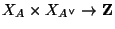$ X_A\times X_{A^{\vee}}\rightarrow \mathbf{Z}$